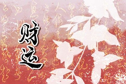 排盘报告阅读顺序